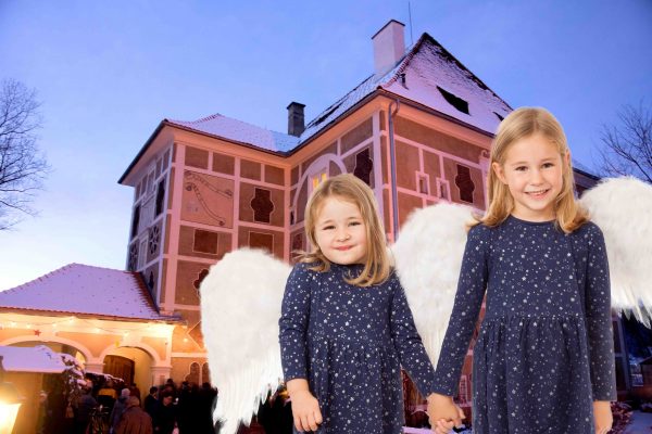 Mitteregger_Fischer01