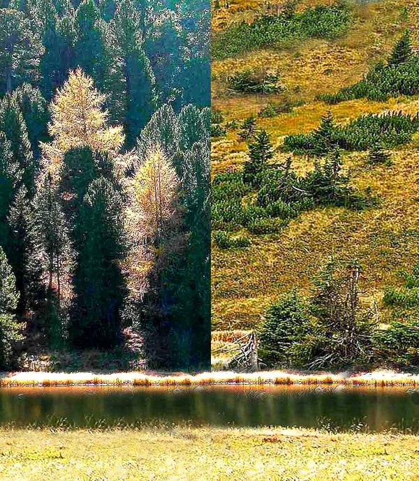 Witerleiten jetzt und Zukunft
